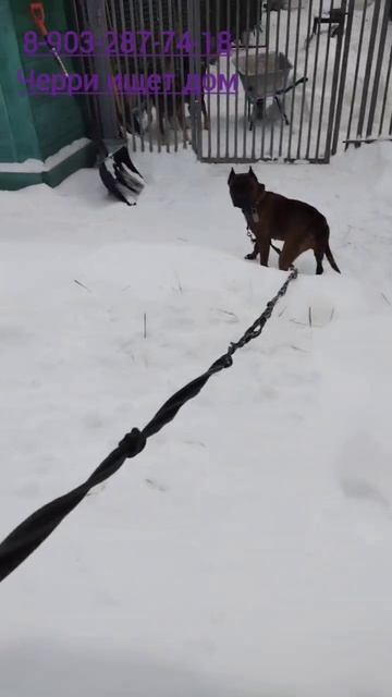 Каждый день с Черри - это новое открытие! 💖