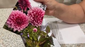 МФУ Epson L3256. Печать фотографий