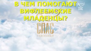 В чем помогают Вифлеемские младенцы? Ответ на канале "Спас". Священник Валерий Сосковец