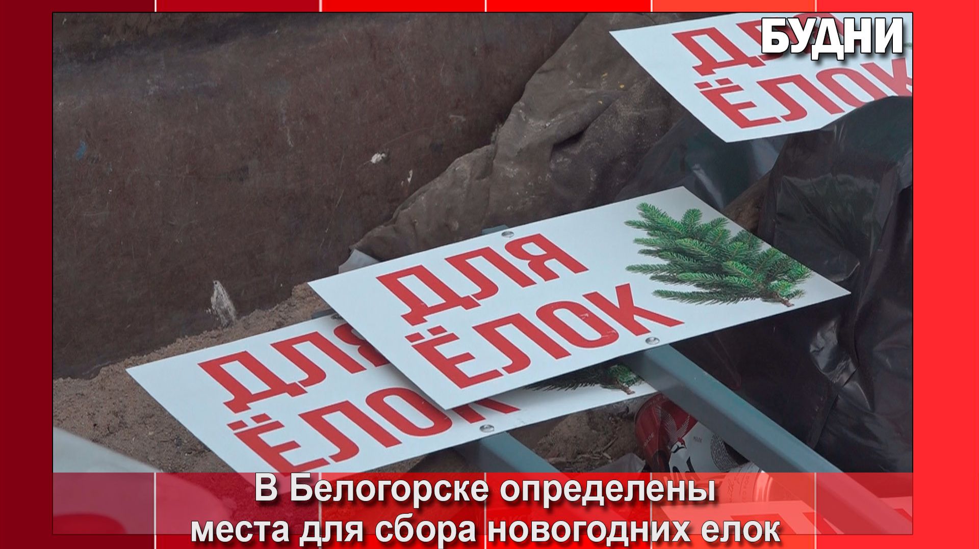 В Белогорске определили площадки для сбора постновогодних ёлок смотреть онлайн