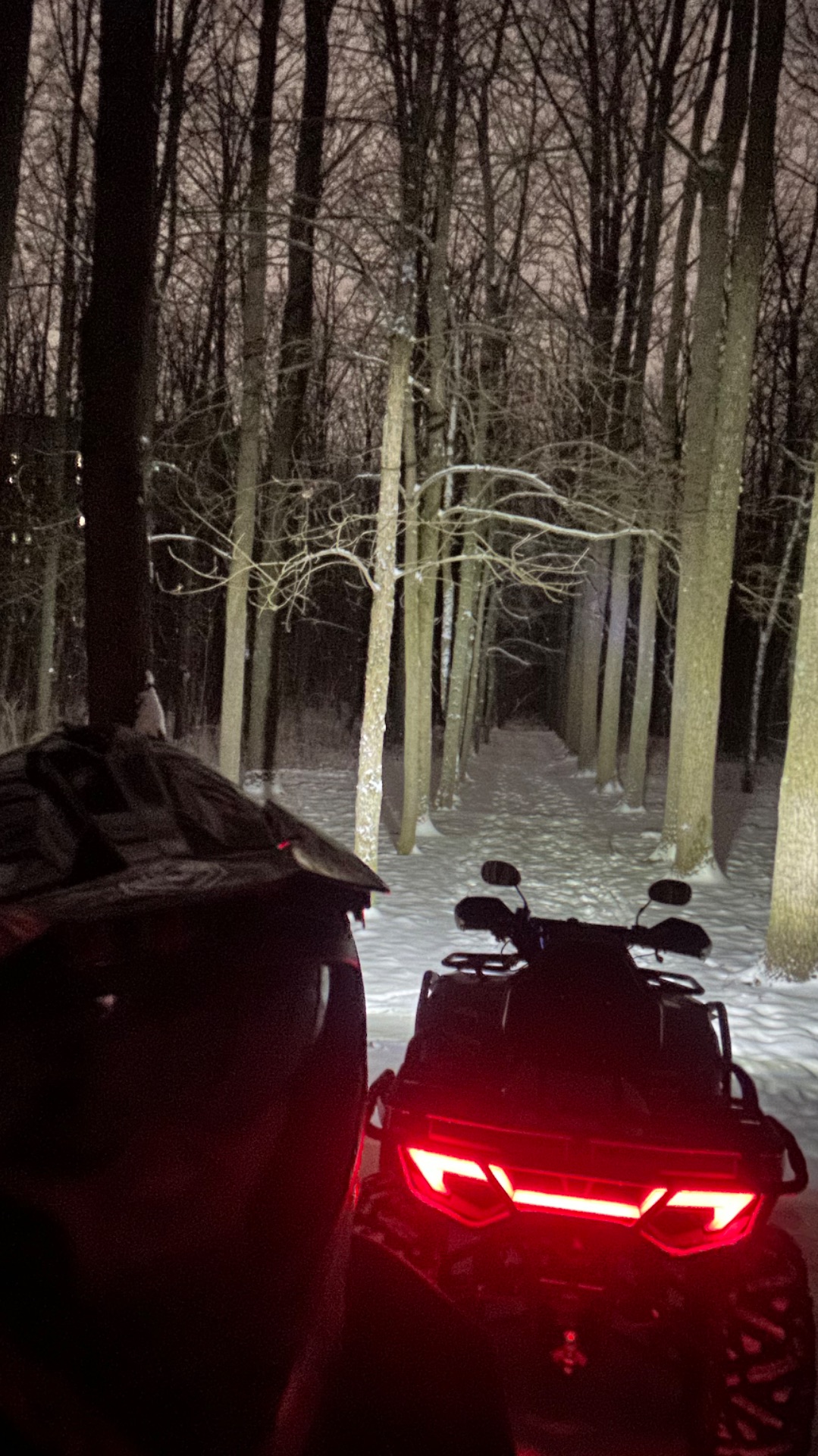 На квадрике по лесу #новыйгод