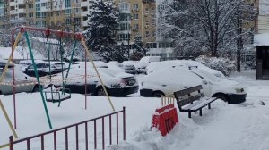 В Краснодар зима пришла. Пойдемте полюбуемся южной зимней сказкой. Краснодар, 12.01.2026.