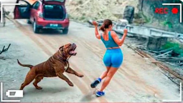 BRAIN TIME. САМЫЕ СМЕШНЫЕ НЕУДАЧИ, СНЯТЫЕ НА КАМЕРУ