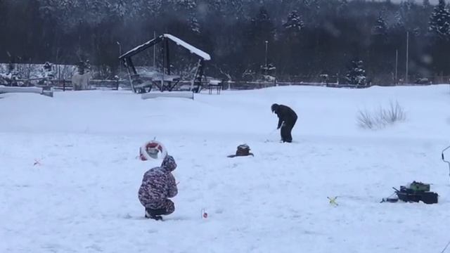 поимка форели на жерлицу смотреть онлайн