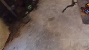 Лада X-RAY, меняю шаровые опоры, сайлентблоки передних рычагов, стойки и втулки стабилизатора.