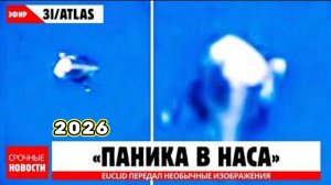 Телескоп Euclid только что раскрыл новые тревожные снимки