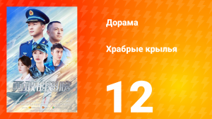 Храбрые крылья 12 серия