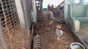 И снег, и дождь, и минус 17. Тепловую пушку подвесила.