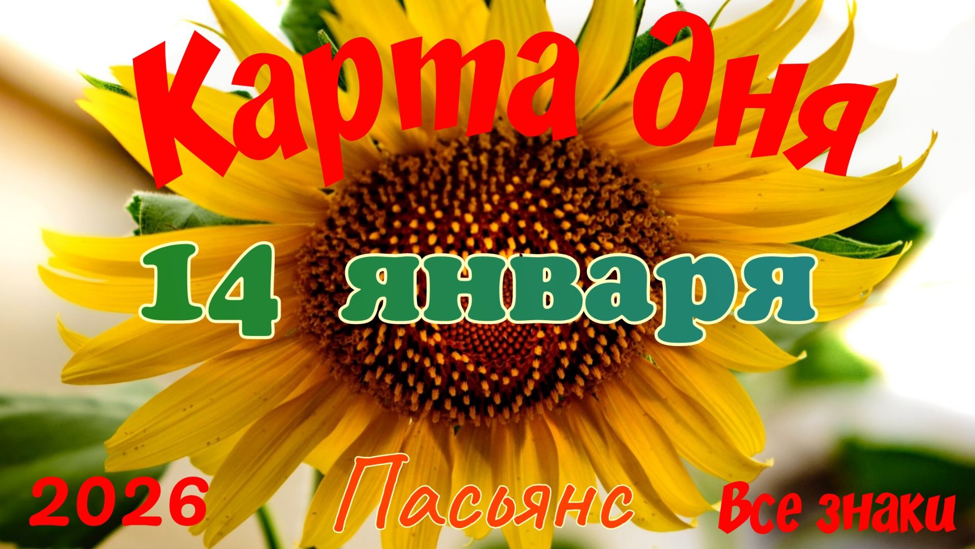 Карта дня❄14 января🎄☃️Пасьянс. Тайм-код в описании🦢 смотреть онлайн