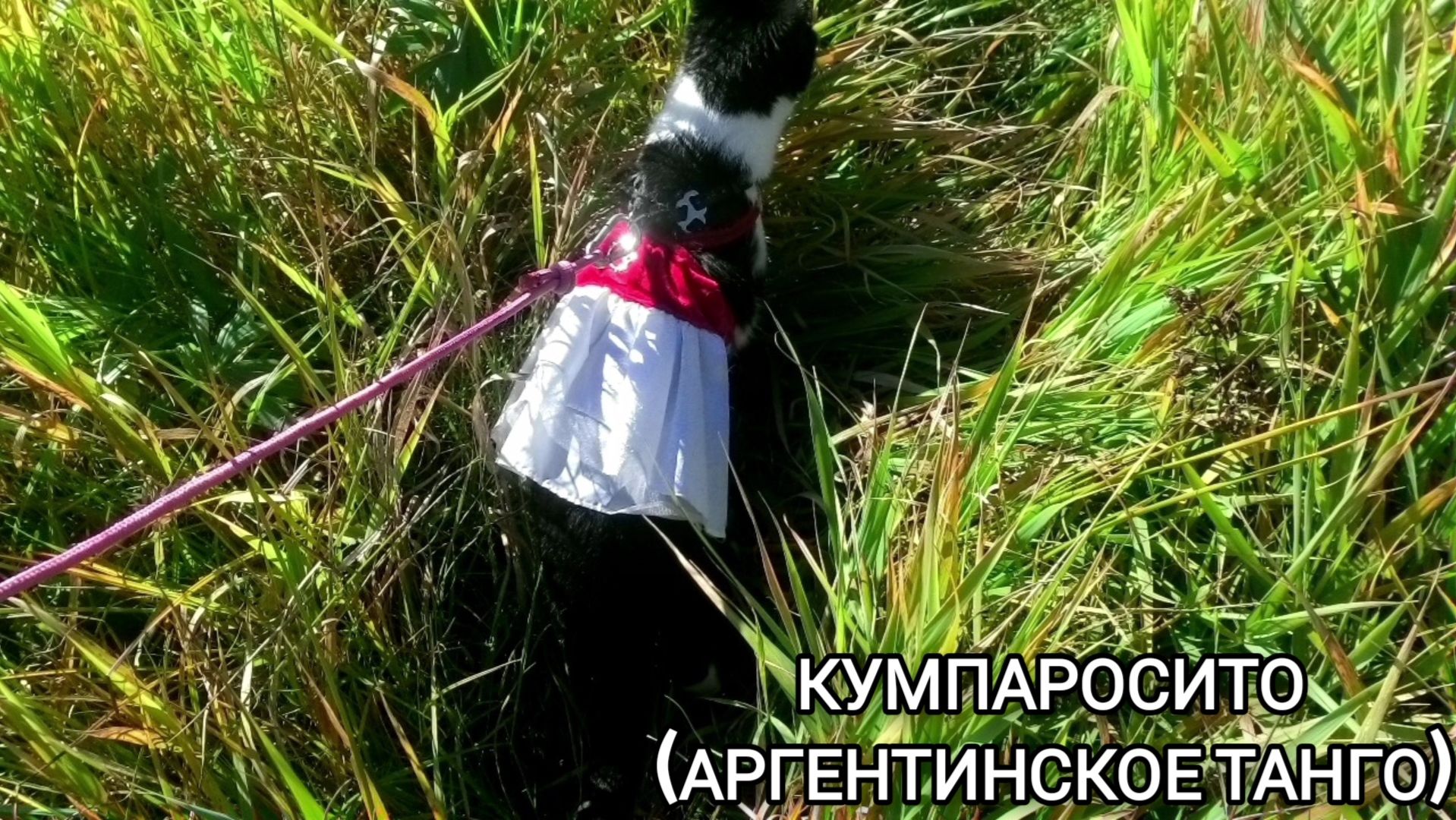 Предмет — аранжировка | 3 курс | Музыкальное звукооператорское мастерство