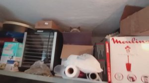 Зима на Кубани🕸 Пора расхламляться💃 Новый стеллаж для черепков 🍽 Курочки зимой🐥🦢