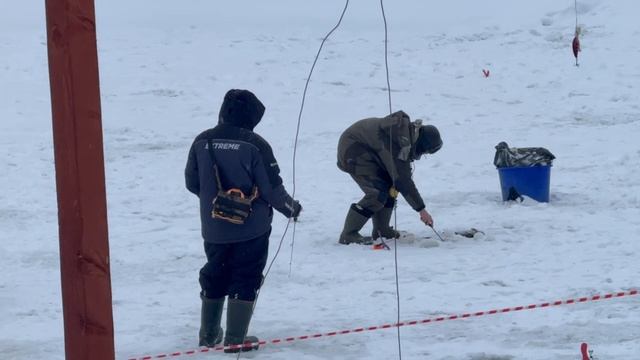 1000138474.mp4 смотреть онлайн