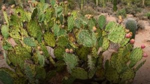 ответы на вопросы