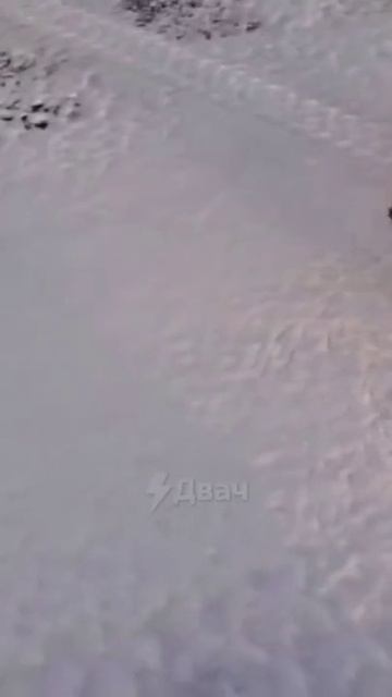 Хитрая лиса против рыбака: кто победил? смотреть онлайн