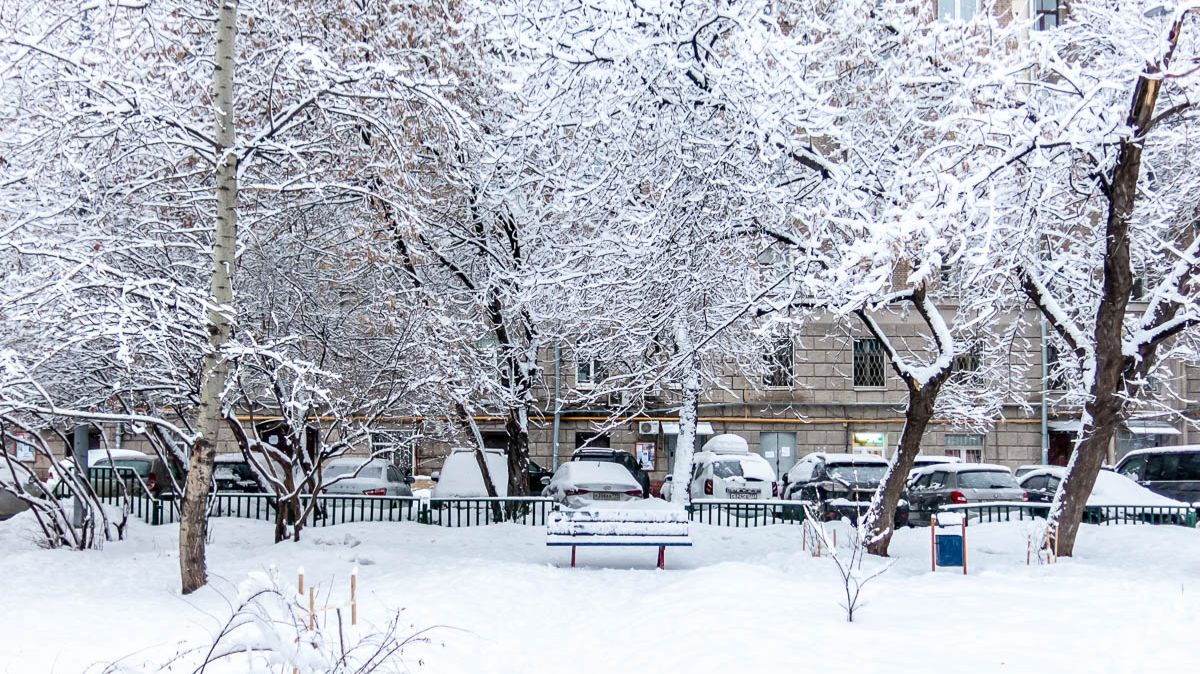 Наш заснеженный двор. смотреть онлайн