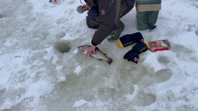 1000138471.mp4 смотреть онлайн