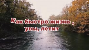 Как быстро жизнь, увы, летит