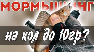 БРЕД. Но Это Сработало! Я забыл ВСЕ спиннинги, кроме... #мормышинг #микроджиг #рыбалка