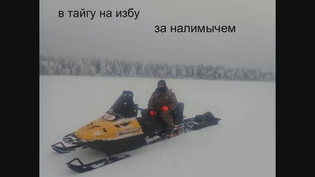 в тайгу на избу за налимычем смотреть онлайн