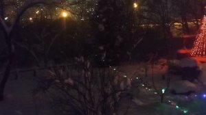 виртуальная елка