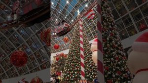 Отдых в Москве на Острове мечты, сказочная красота. 😍😊🎄👍