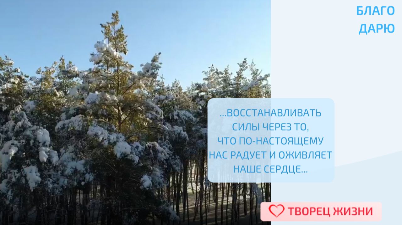 Благодарю Творца за бесценные моменты, которые можно посвятить любимым занятиям!