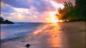 Христианские песни, от которых наворачиваются слёзы | Музыка, говорящая больше тысячи слов#