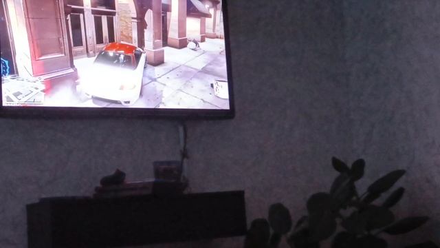 Мы глупые друзья