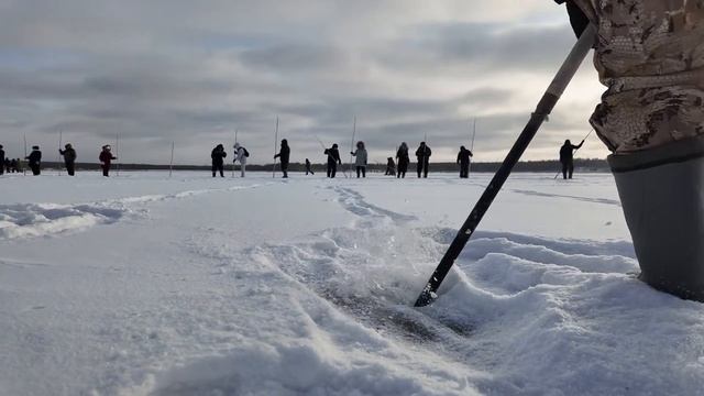 Тойон Муҥха 2025