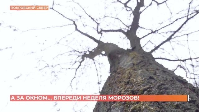 А за окном. 12 января 2025 смотреть онлайн