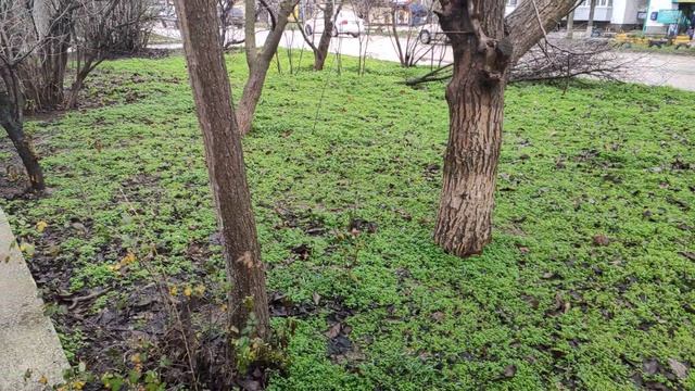 Один из дней города Евпатории | 2 февраля 2021 г | Крым | ХАН БАТОН XAH 6ATOH / VID_20210202_132605 смотреть онлайн