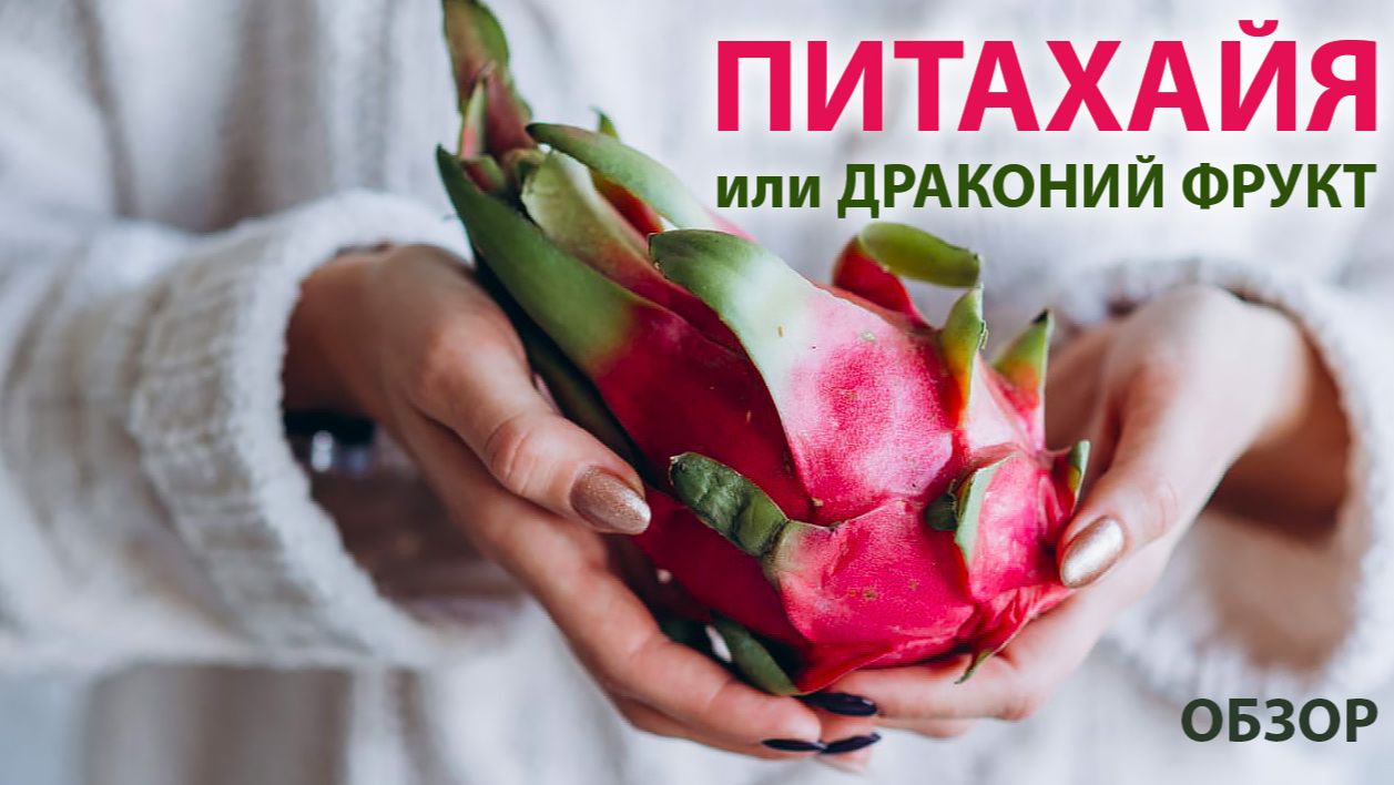 🐉 Драконий фрукт питахайя: как выбрать, почистить и съесть? Развеем все мифы! смотреть онлайн