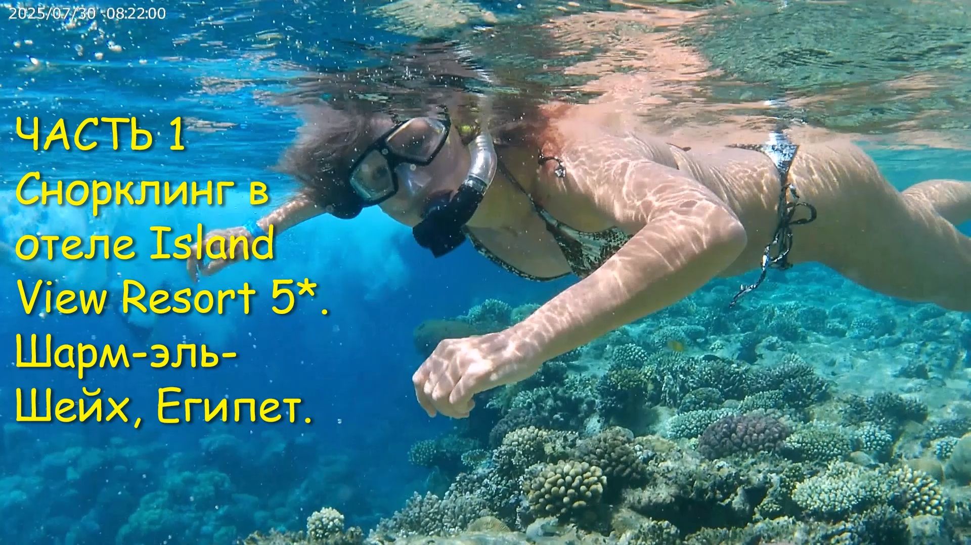 ЧАСТЬ 1. Снорклинг. Подводный мир. Риф отеля Island View Resort 5*. Шарм-эль-Шейх, Египет. смотреть онлайн