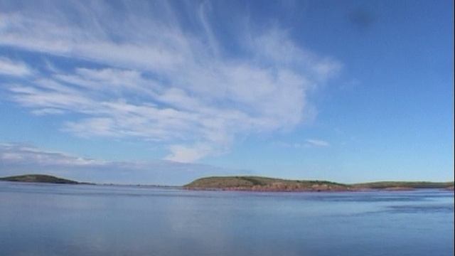 ©  "Отвозим Астрономов и Гарпи" 2005