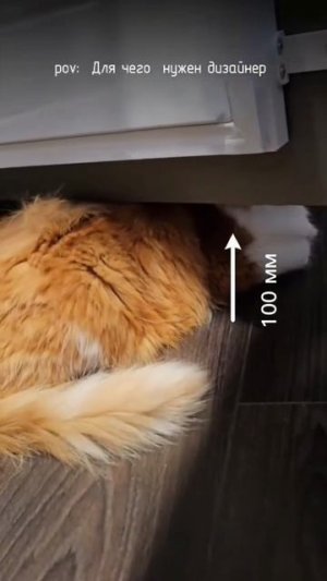 Всё сделано под кота 🤣