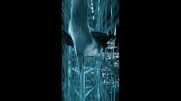 Кот спас его , но какой ценой ?