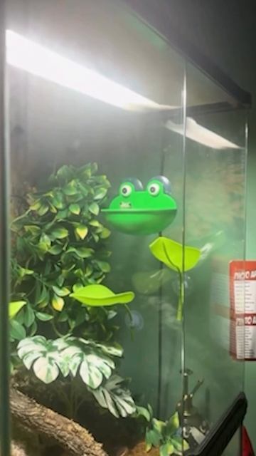 Совет руководителям #avitotech #teamlead смотреть онлайн