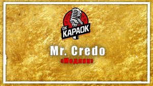 Mr. Credo-Медляк(КАРАОКЕ оригинальная аранжировка)