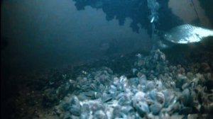 Чебоксары. Куйбышевское водохранилище. ГЭС.