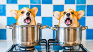 СУП С ФРИКАДЕЛЬКАМИ из КОРЖИКА и ПРЯНИКА!!