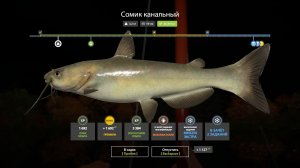 Русская Рыбалка 4-Новогодние Экстра Задания 2026: не менее 800 гр, на мах оз. Лосиное