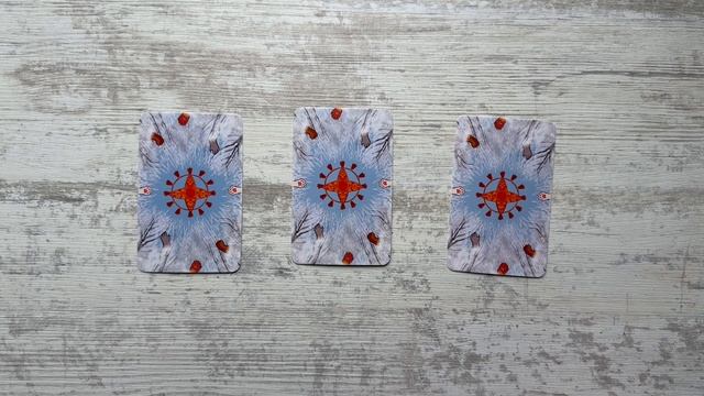 Мак подсказка КОТОПРЕДСКАЗАНИЯ 🫶🏼 смотреть онлайн