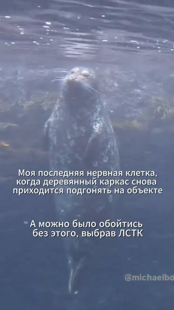 Если хотите больше узнать о наших проектах, переходите по ссылке в шапке профиля смотреть онлайн