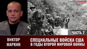 Виктор Маркин. Специальные войска США в годы Второй Мировой войны. Окончание