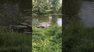 ЭКСТРЕМАЛЬНЫЙ ОТДЫХ С ИРИШКОЙ ЧИКИ ПИКИ И БЕЗУМНЫМ ПАШЕЙ