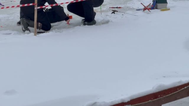 1000138465.mp4 смотреть онлайн