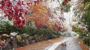 321 любовное письмо к Девушке от Лео #leolev