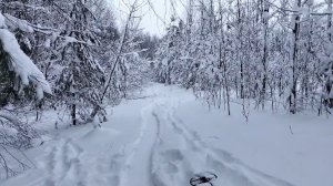 44. Прогулка на лыжах. Следы лося. Пару находок и хорошее настроение.