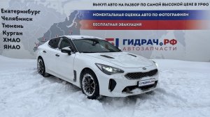 Обзор перед разбором Kia Stinger