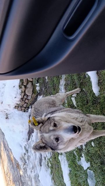 Грета 904 номер смотреть онлайн